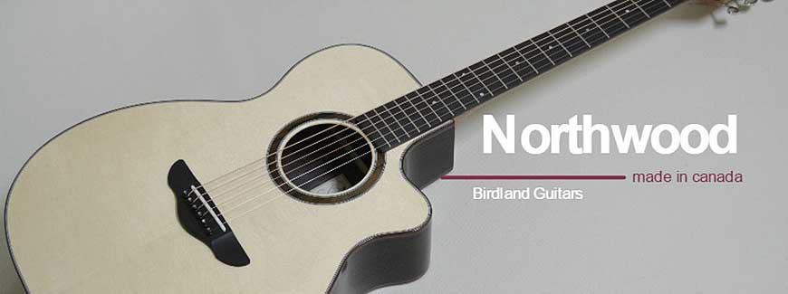 Northwood Guitars