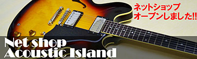 Net shop Acoustic Island
