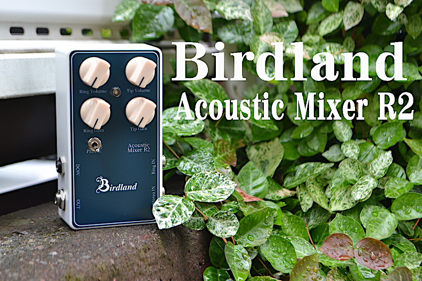 海外直送Birdland Acoustic Mixer R2 その他