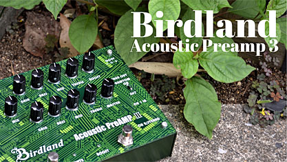 Birdland Acoustic Preamp 3