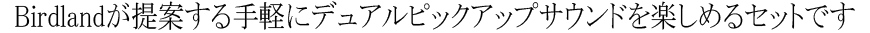 Birdlandが提案する手軽にデュアルピックアップサウンドを楽しめるセットです