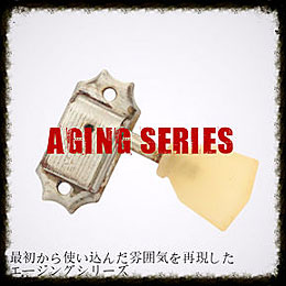 AGING SERIES