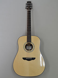 Northwood Guitars 2018 R80 D-type