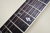 Northwood Guitars SG