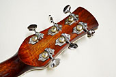 Northwood Guitars SG