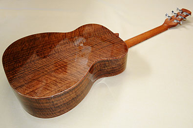 Northwood Guitars WA-80 000