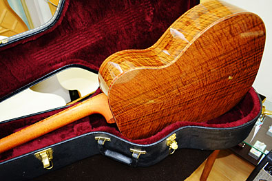 Northwood Guitars WA-80 000