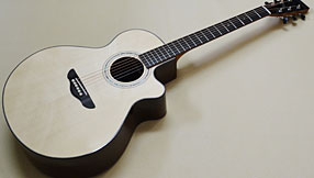 Northwood Guitars MA-80 MJV
