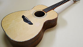 Northwood Guitars WA-80 000