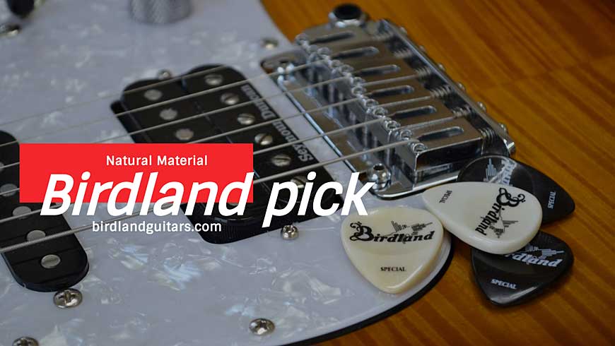 Birdland Pick - ピック関係 - 有限会社バードランド