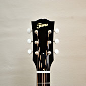 ギター TJ 在庫限り・売り切り特価】 FERNANDES STEJ-DLX 2S 【EMGピックアップ