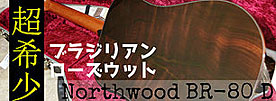 Northwood Guitars BR-80 D