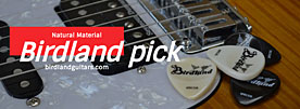 Birdland Pick