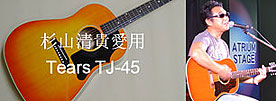 Tears TJ-45 Series
